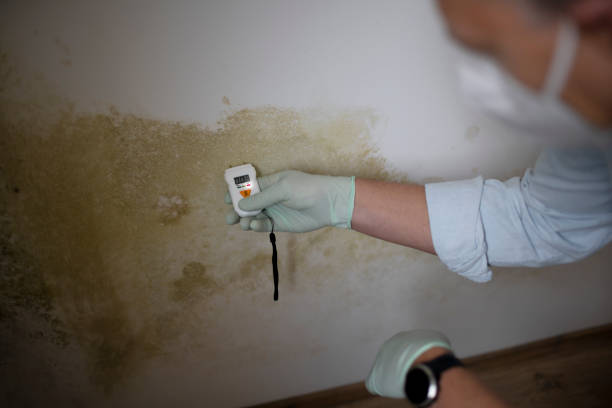 Water Damage Restoration in Longwood, FL