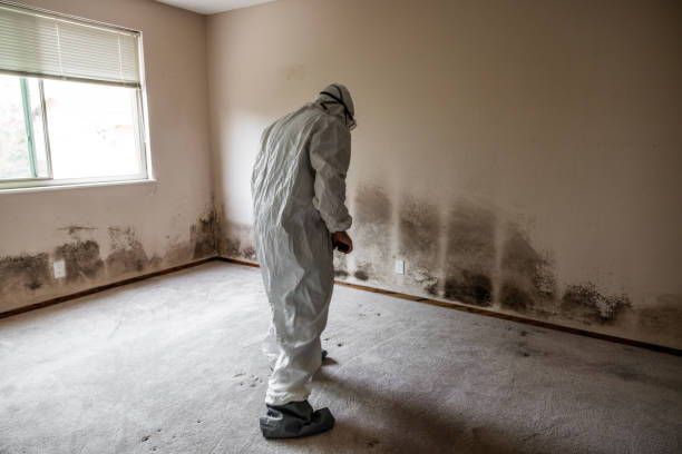 Best Mold Testing  in Longwood, FL